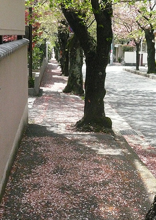 f:id:nomrakenta:20120421110608j:image