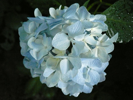 f:id:nomrakenta:20120617075201j:image f:id:nomrakenta:20120617075201j:image