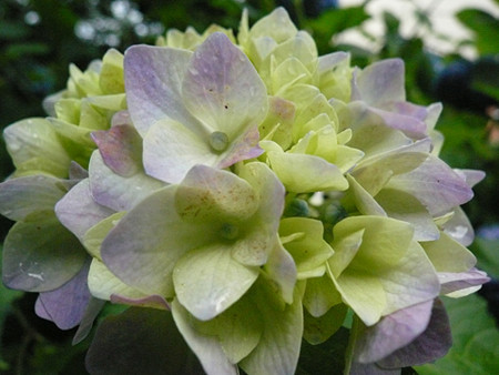f:id:nomrakenta:20120617080338j:image f:id:nomrakenta:20120617080338j:image