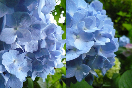 f:id:nomrakenta:20120617080636j:image f:id:nomrakenta:20120617080636j:image