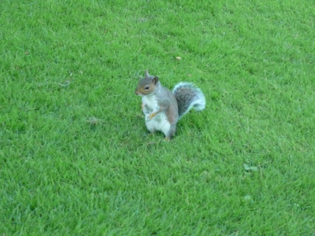 f:id:nomrakenta:20120818173443j:image