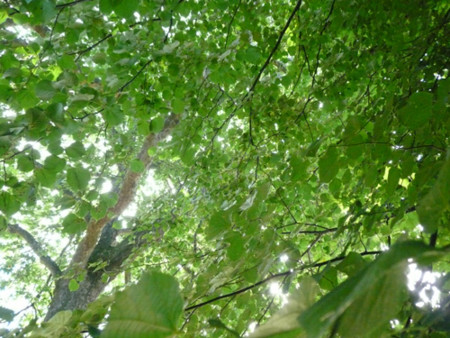 f:id:nomrakenta:20120818175931j:image