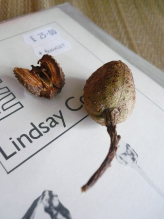 f:id:nomrakenta:20120823134613j:image f:id:nomrakenta:20120823134613j:image