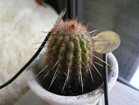 f:id:nomrakenta:20121020153045j:image