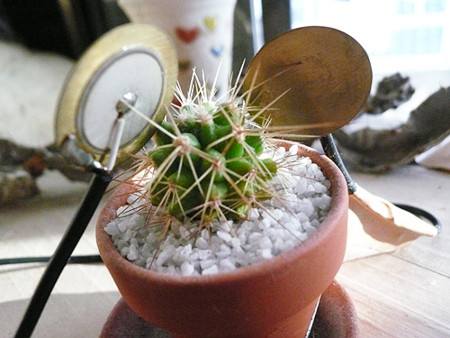 f:id:nomrakenta:20121020161927j:image
