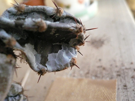f:id:nomrakenta:20121020164836j:image