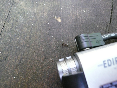f:id:nomrakenta:20121110095856j:image
