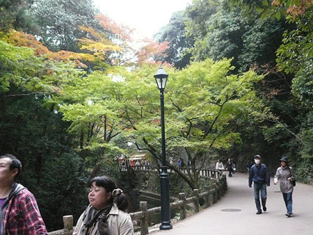 f:id:nomrakenta:20121110110025j:image