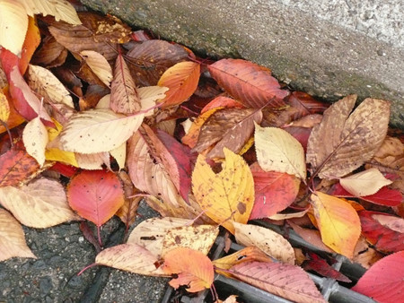 f:id:nomrakenta:20121123151151j:image