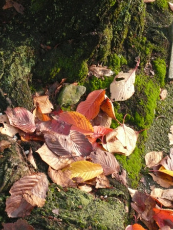 f:id:nomrakenta:20121123151217j:image