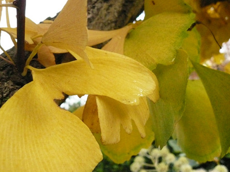 f:id:nomrakenta:20121123152056j:image