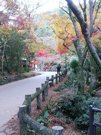 f:id:nomrakenta:20121125072529j:image
