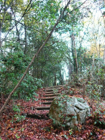 f:id:nomrakenta:20121125081846j:image