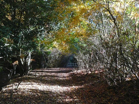 f:id:nomrakenta:20121125083749j:image