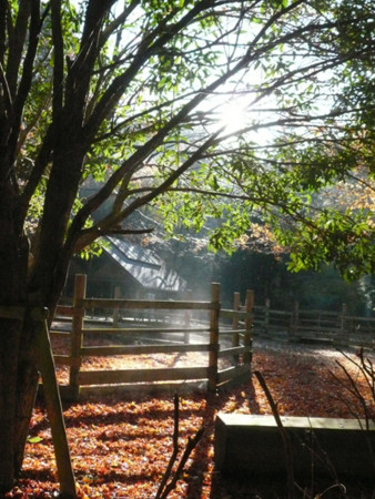 f:id:nomrakenta:20121125084525j:image