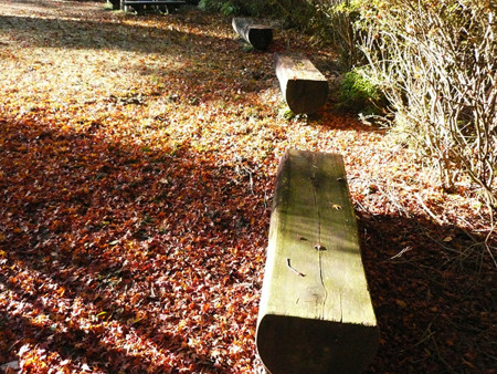 f:id:nomrakenta:20121125084643j:image
