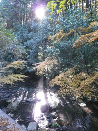 f:id:nomrakenta:20121125090718j:image