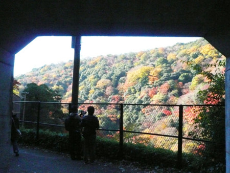 f:id:nomrakenta:20121125093341j:image