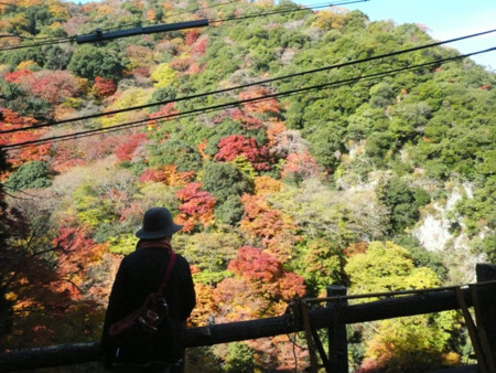 f:id:nomrakenta:20121125093452j:image