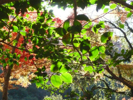 f:id:nomrakenta:20121125100636j:image