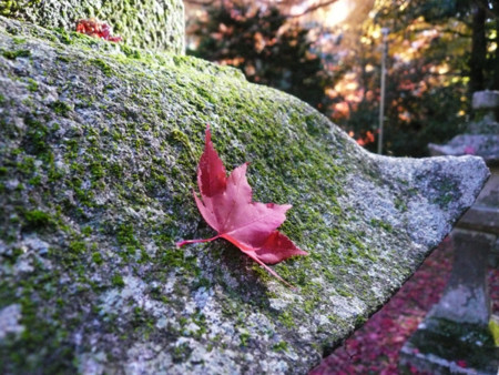 f:id:nomrakenta:20121125101432j:image