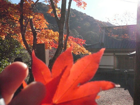 f:id:nomrakenta:20121125101757j:image