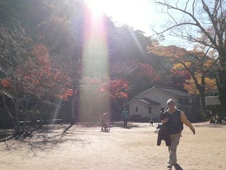 f:id:nomrakenta:20121125102100j:image