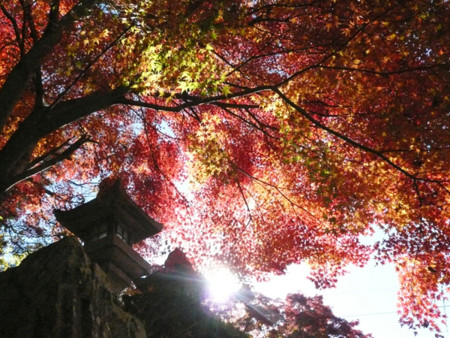 f:id:nomrakenta:20121125103347j:image
