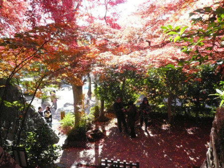 f:id:nomrakenta:20121125103652j:image