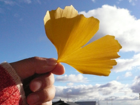 f:id:nomrakenta:20121201150852j:image