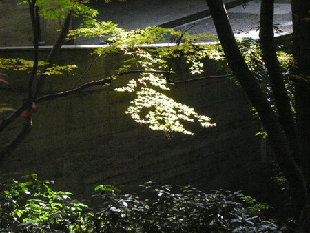 f:id:nomrakenta:20121202111538j:image