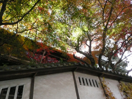 f:id:nomrakenta:20121202112228j:image