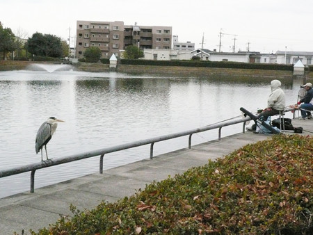 f:id:nomrakenta:20121202123831j:image
