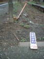 20090426154849