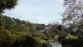 小石川植物園2010の2