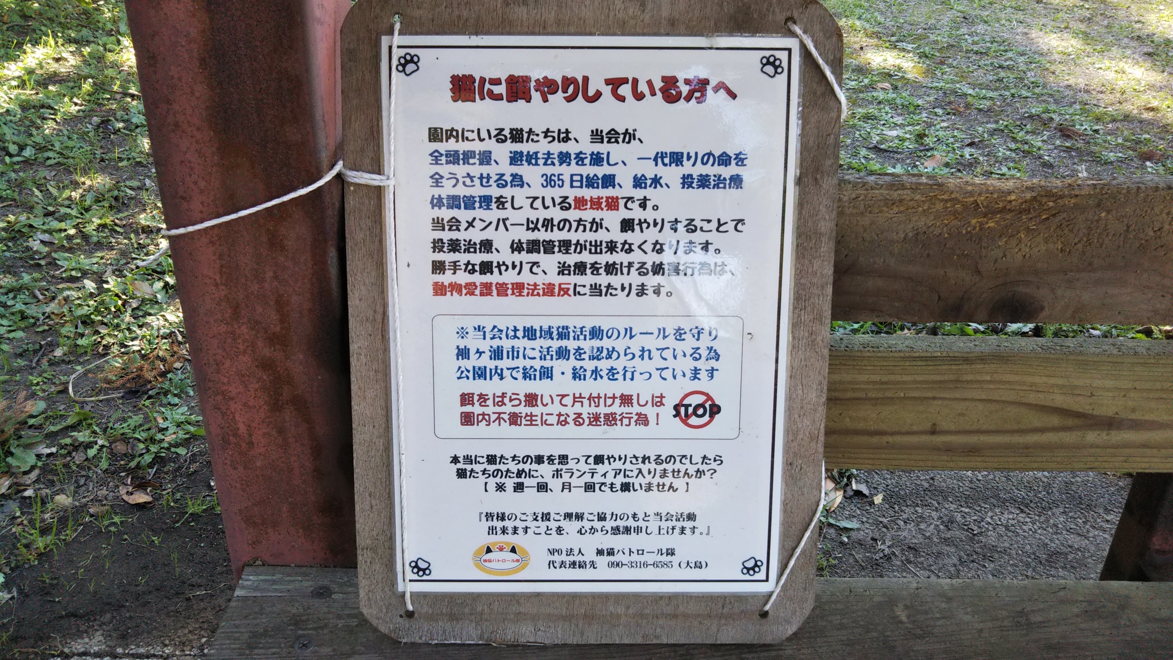 f:id:nomzakki:20201219170850j:image