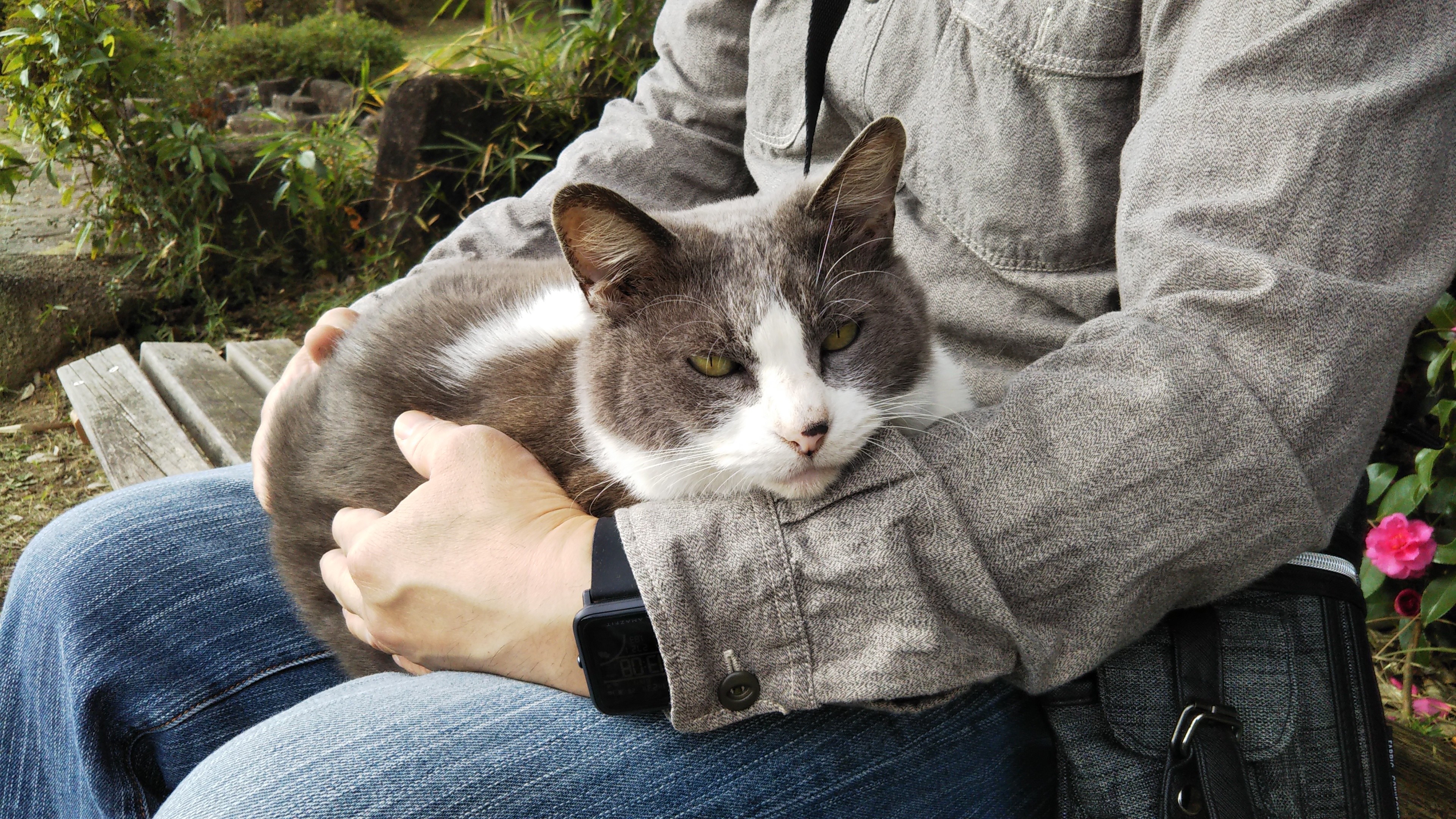 f:id:nomzakki:20201219171221j:image