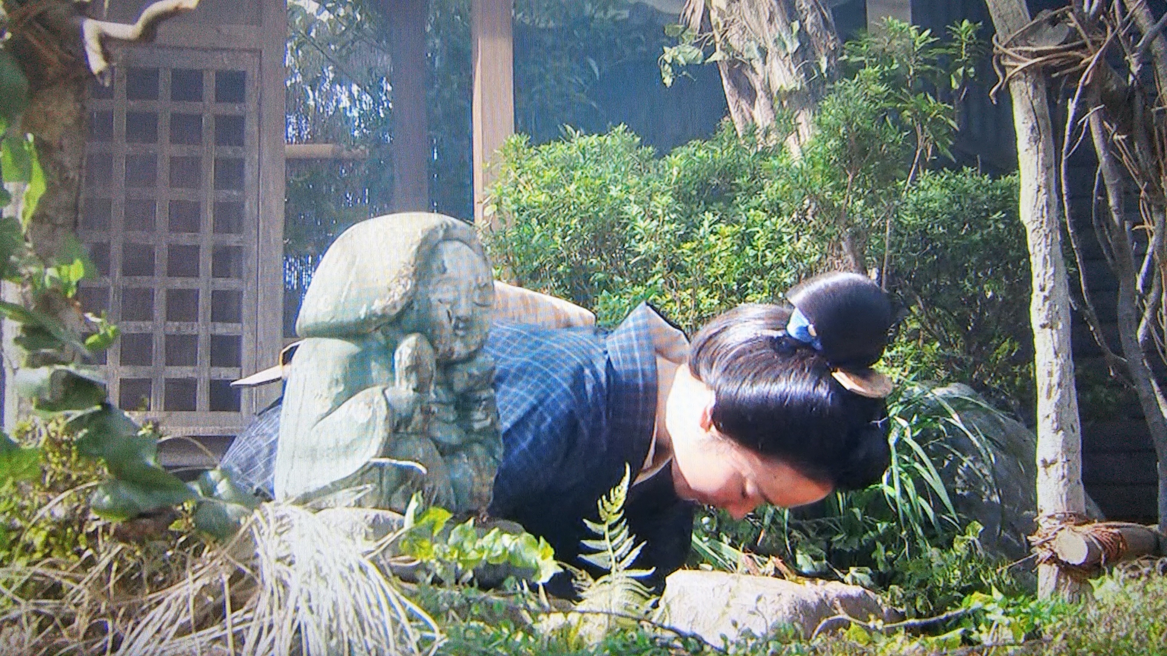 f:id:nomzakki:20220409150122j:image f:id:nomzakki:20220409150122j:image