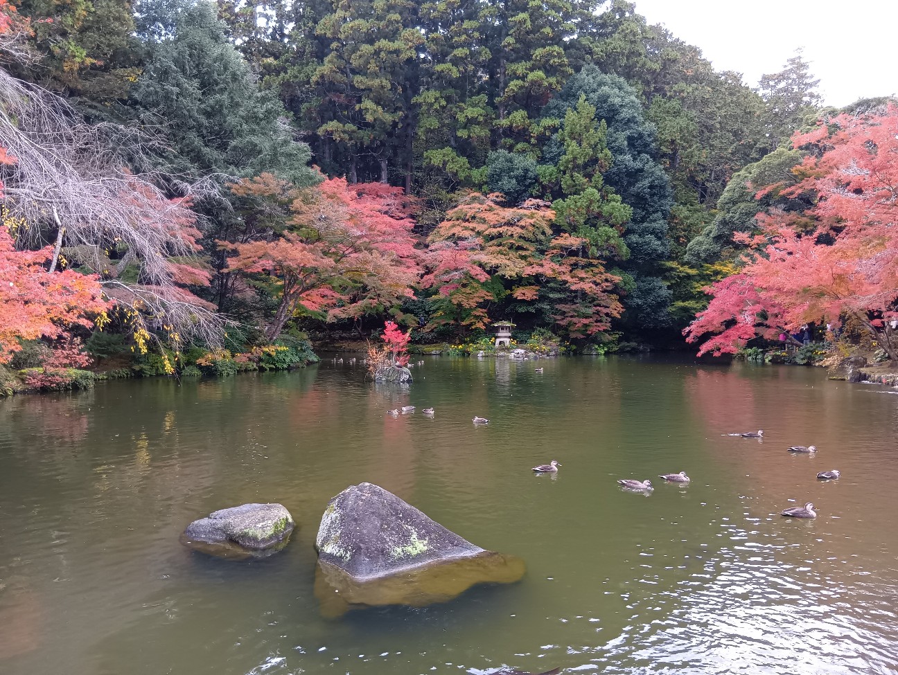 f:id:nomzakki:20251129111103j:image