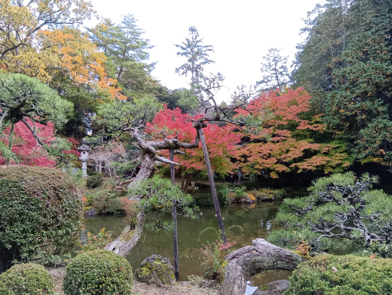 f:id:nomzakki:20251129111126j:image