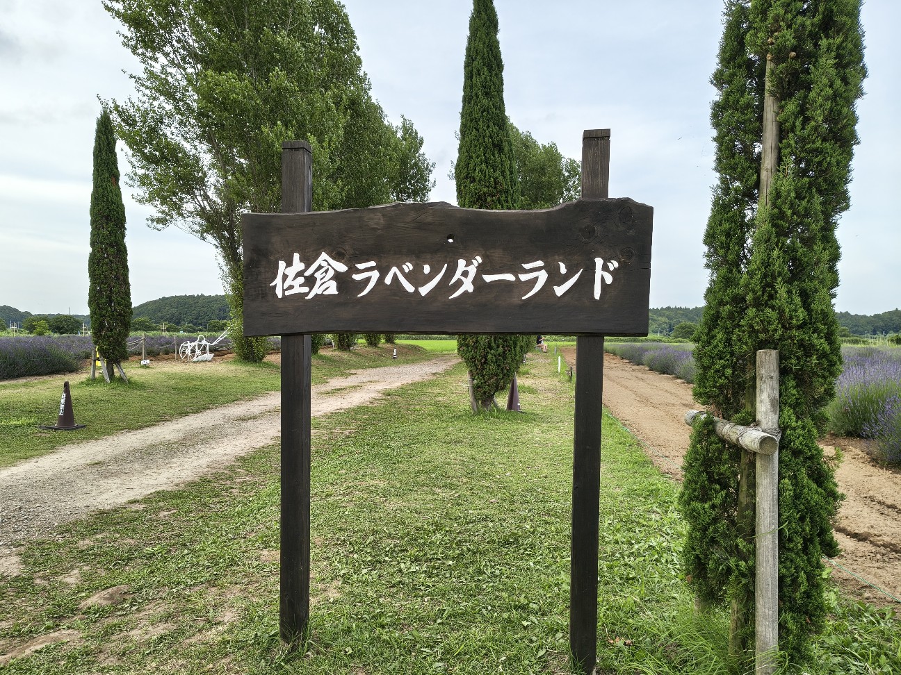 f:id:nomzakki:20260627151741j:image