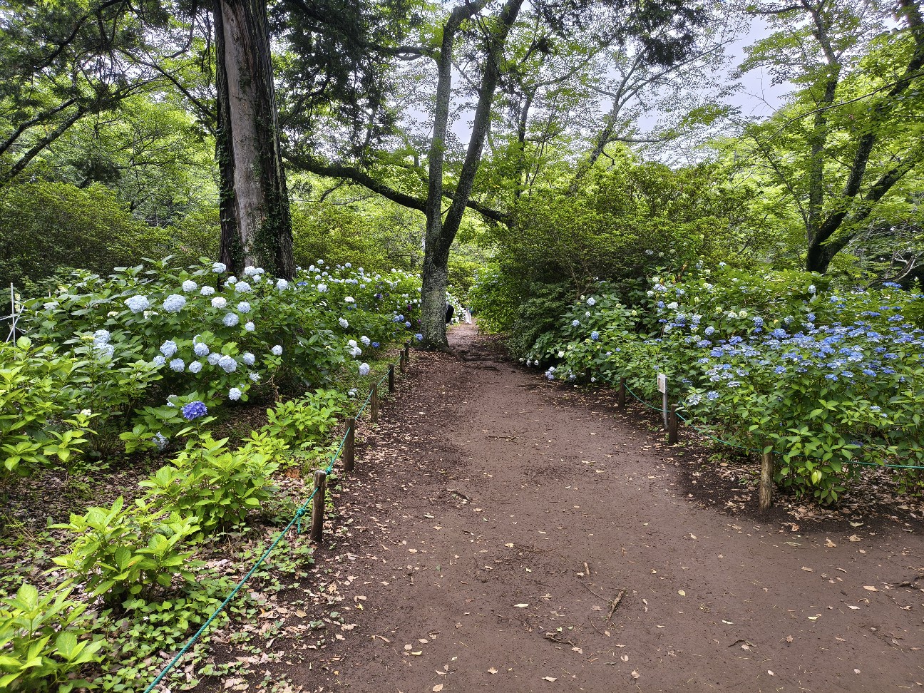 f:id:nomzakki:20260712140632j:image