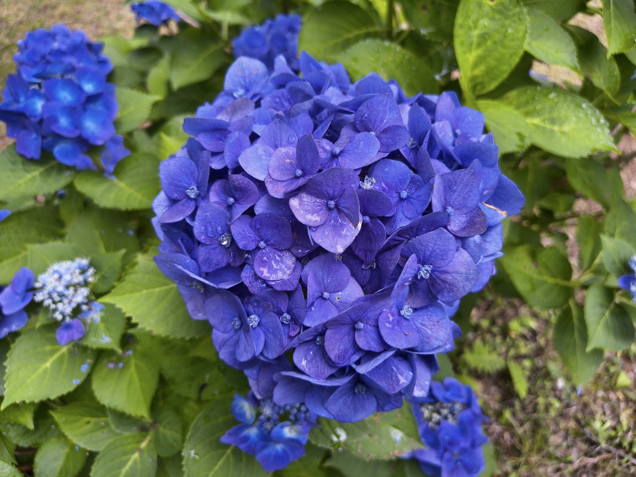f:id:nomzakki:20260712141020j:image