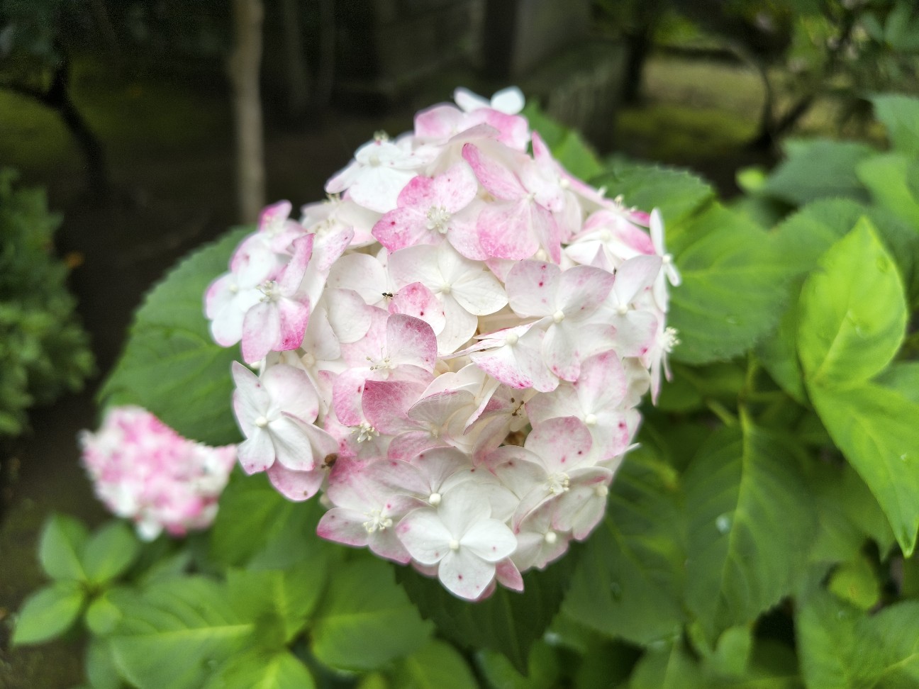 f:id:nomzakki:20260712141247j:image