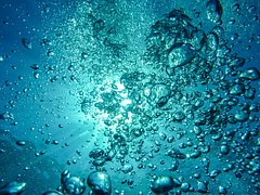 f:id:non-alcohol:20161026090254j:plain f:id:non-alcohol:20161026090254j:plain