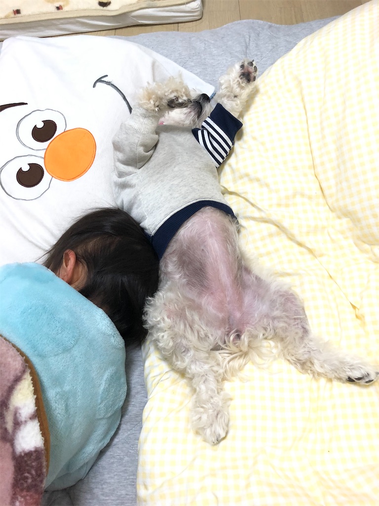 f:id:non0205:20200314030726j:image f:id:non0205:20200314030726j:image