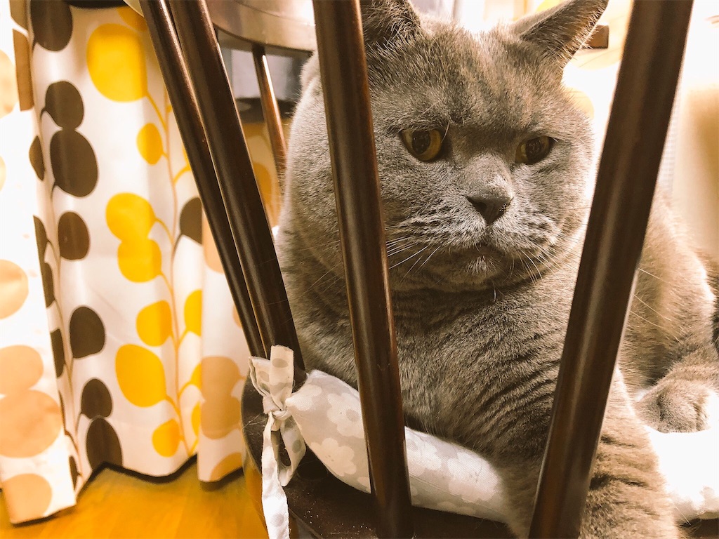 f:id:non1982:20190305101224j:image