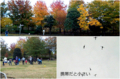 20121111152131