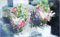 20130221224701
