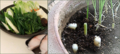 20130225164140